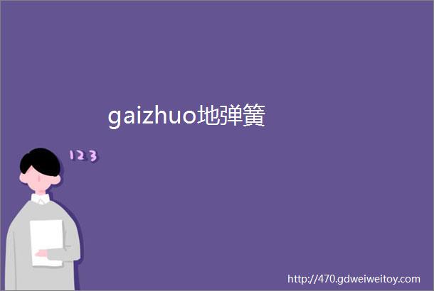 gaizhuo地弹簧